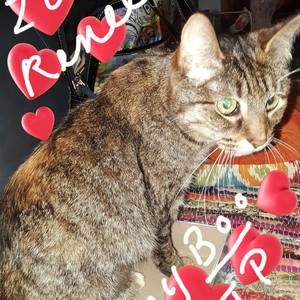 Meet your Posher, Margaret